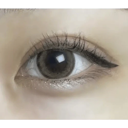LensRang School Ring Brown — single-eye close-up showing the contact lens appearance