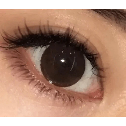 KPOP2 Soa Choco Toric 13.0mm KPOP2 Soa Choco Toric 13.0mm