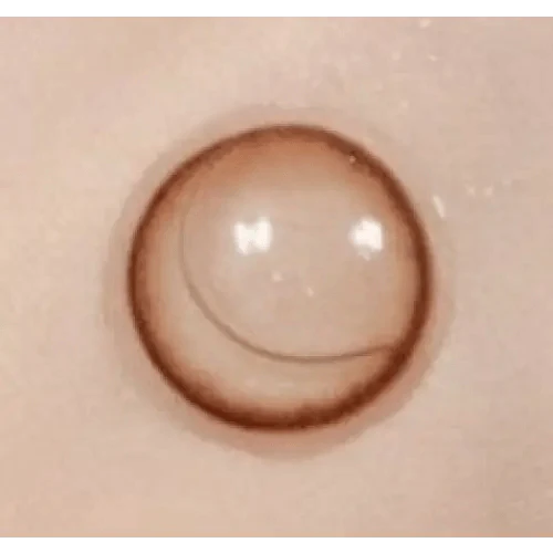 KPOP2 Soa Choco Toric 13.0mm KPOP2 Soa Choco Toric 13.0mm