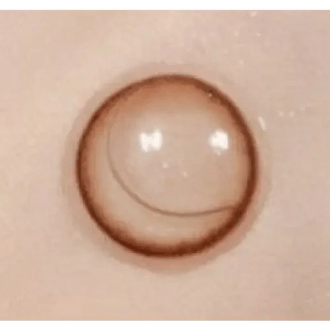 KPOP2 Soa Choco Toric 13.0mm KPOP2 Soa Choco Toric 13.0mm