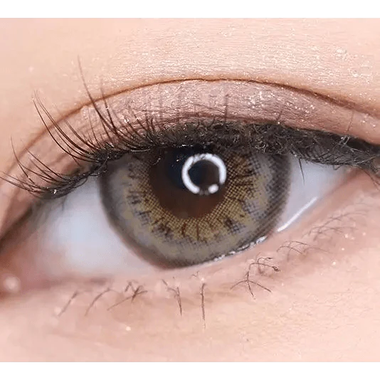 LensRang Spell Gray — single-eye close-up showing the contact lens appearance