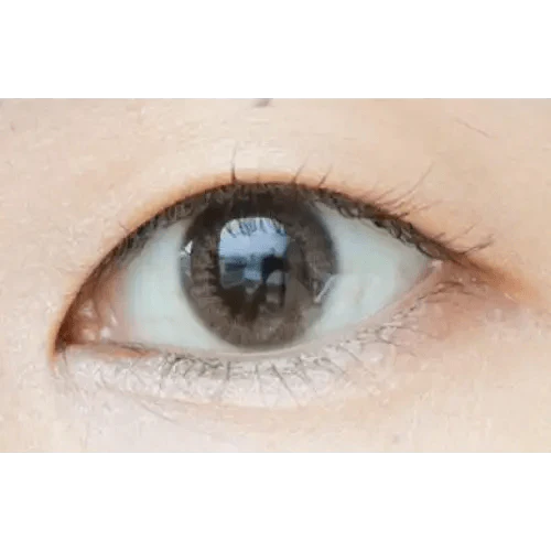 LENSTOWN Tintade Coral Brown 12.2mm LENSTOWN Tintade Coral Brown 12.2mm