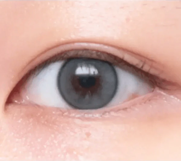 i-DOL Yurial Mul Gray — single-eye close-up showing the contact lens appearance