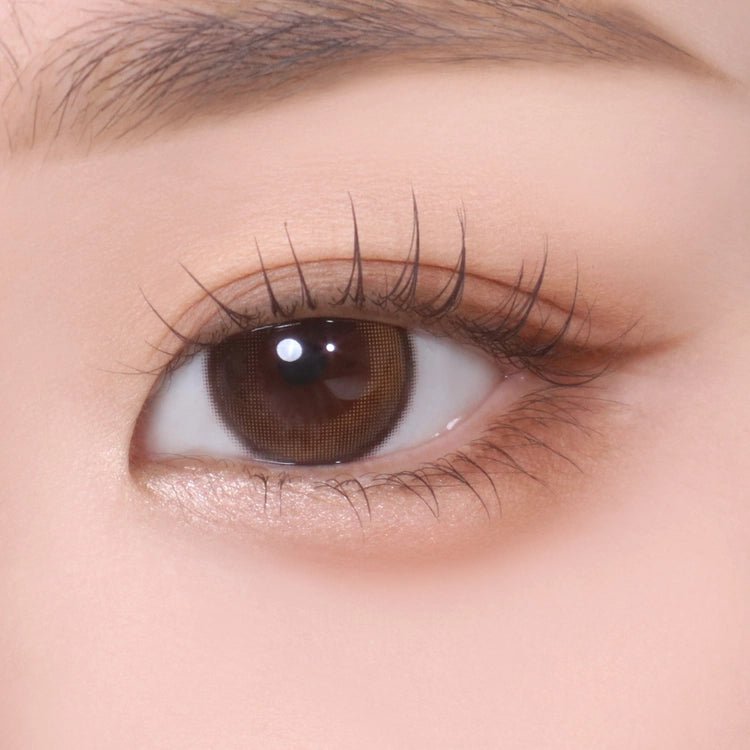 Bausch + Lomb Lacelle Aurora Black Monthly (6p)