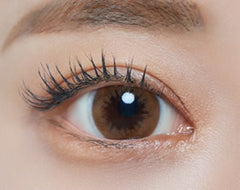 Bausch + Lomb Lacelle Mellow Brown (6p)