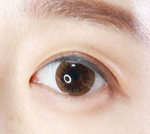 Bausch + Lomb Lacelle Twinkle Brown (6p) colored contact lens, 12.7mm graphic diameter, Monthly wear