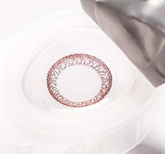 Bausch & Lomb Natural Chic Brown (90p)