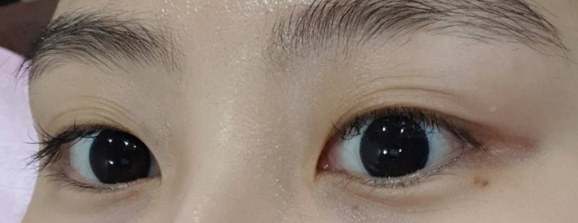 Bausch + Lomb Natural Pure Black (90p) colored contact lens, 12.6mm graphic diameter, Daily wear