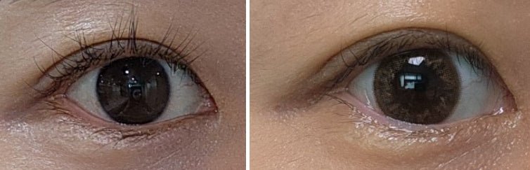 Bausch + Lomb Lacelle Bambi Brown (30p) colored contact lens, 12.7mm graphic diameter, Daily wear