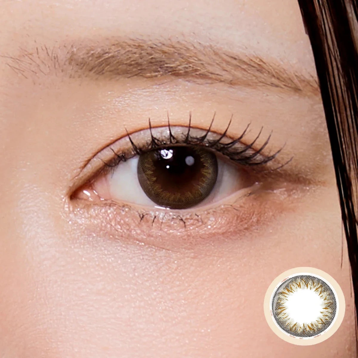Clalen Latin Brown Daily 12.7mm (10p)
