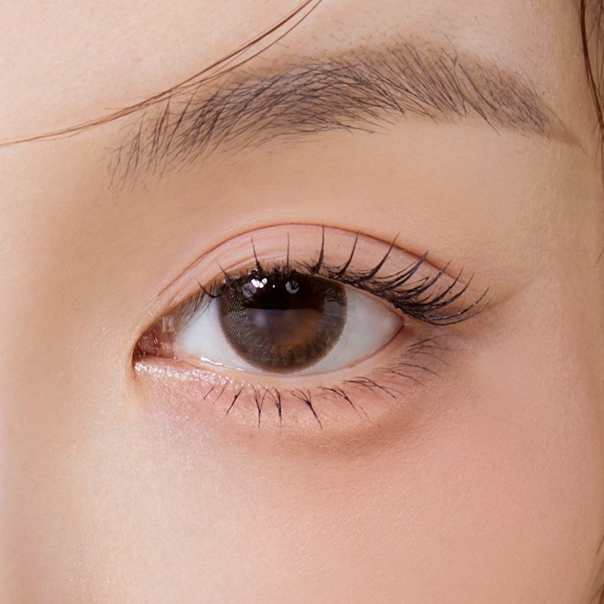 Clalen Suzy Brown Daily 12.9mm (30p)
