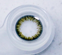 Claren Latin Brown (40p)