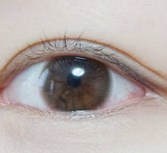 Claren Shear Brown 2week (6p)