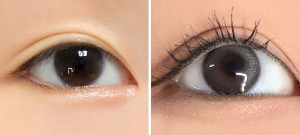 Cocoview Mauve Blue (10p) colored contact lens, 13.0mm graphic diameter, Daily wear