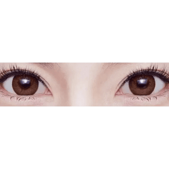 Dali Extra Brown Toric