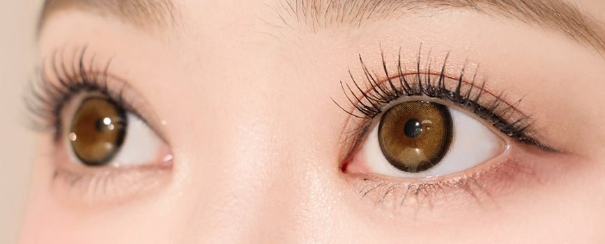 I-SHA Dekame Love Me Cashewnut Brown colored contact lens, 13.6mm graphic diameter, Monthly wear