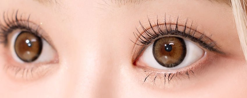 I-SHA Dekame Love Me Toffeenut Choco (10p) colored contact lens, 13.6mm graphic diameter, Daily wear