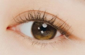I-SHA Oriana Edge Plus Brown