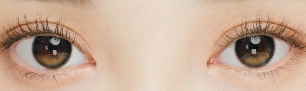 I-SHA Oriana Edge Plus Gray (10p) — image 5