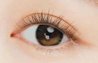 I-SHA Oriana Edge Plus Gray (10p) — image 3