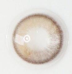 I - SHA Polaris Ursa Brown