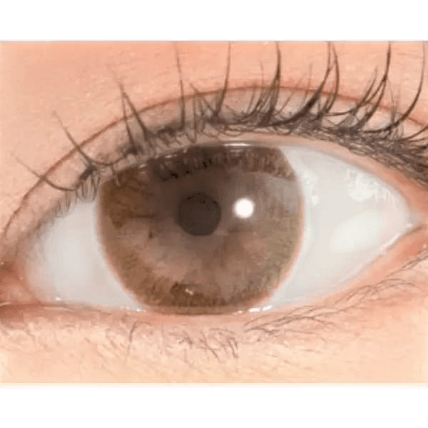 LensRang Iwwiny Brown — single-eye close-up showing the contact lens appearance