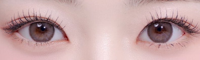 LensRang Sugar Cream Ash Choco colored contact lens, 13.6mm graphic diameter, Monthly wear