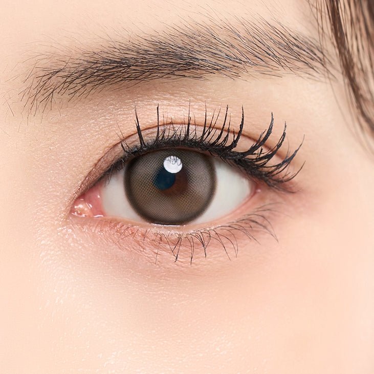 LensTown Back to Basic DOLCEBABA Ash Beige Brown colored contact lens, 13.7mm graphic diameter, 3-6 Months wear