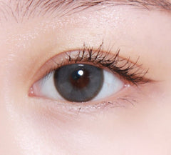 LensTown Back to Basic DOLCEBABA Ash Gray