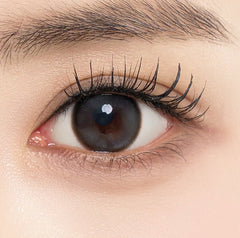 LensTown Back to Basic DOLCEBABA Ash Gray