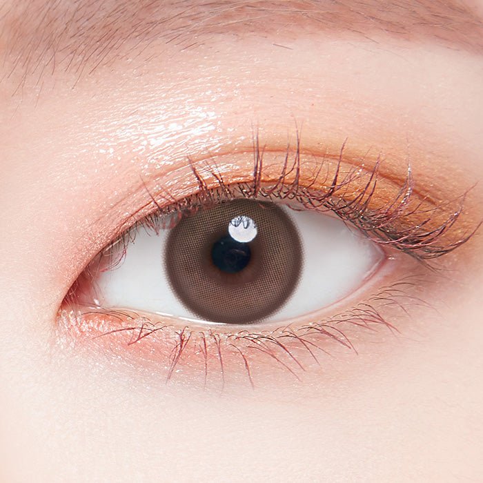 LensTown Chocolato Choco Brown (10p)