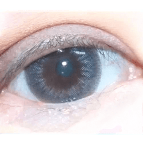 LensTown Davivi2 Gray — single-eye close-up showing the contact lens appearance