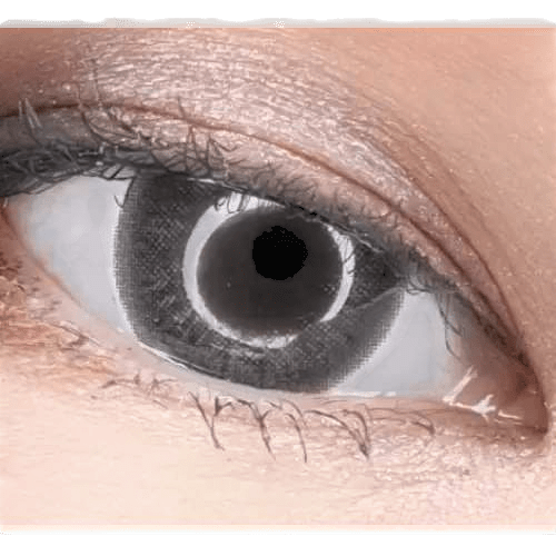 LensTown Davivi2 Gray — single-eye close-up showing the contact lens appearance