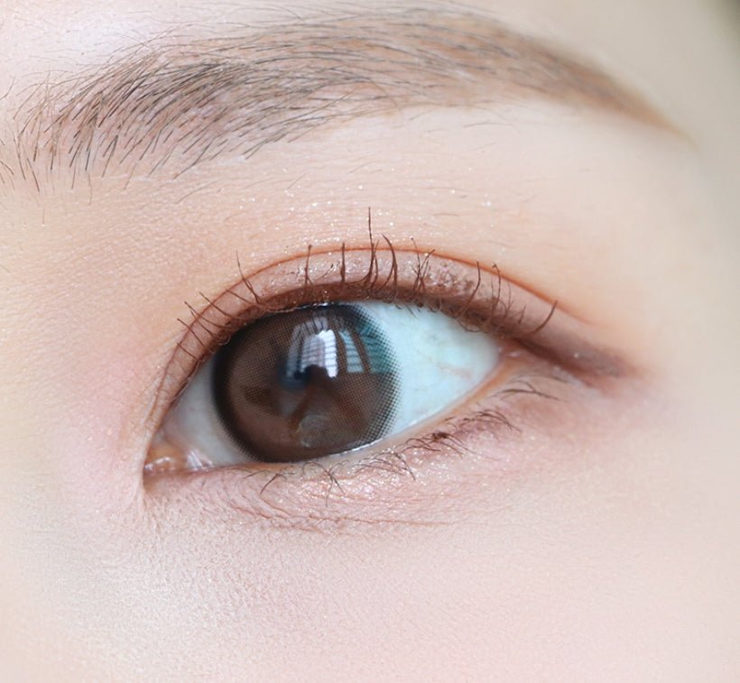 LensTown Eleva Choco colored contact lens, 13.2mm graphic diameter, Monthly wear