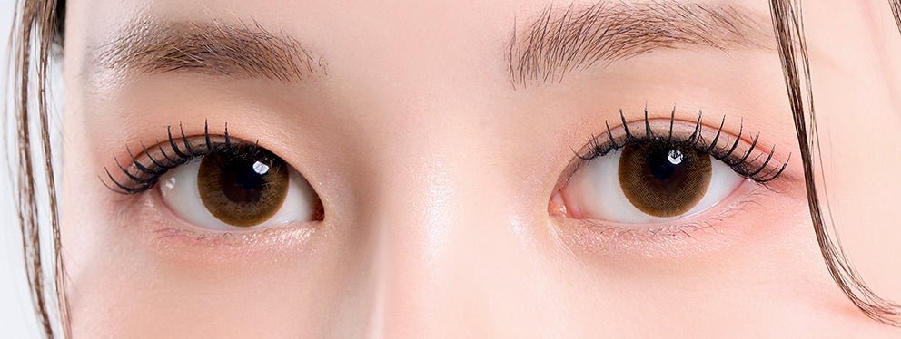LensTown Lighly Classic Plus Brown (20p) colored contact lens, 13.7mm graphic diameter, Daily wear