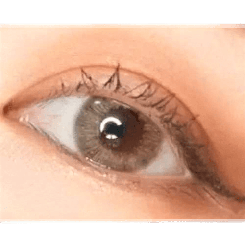 LensTown Lighly Lily Marry Brown (20p) — single-eye close-up showing the contact lens appearance