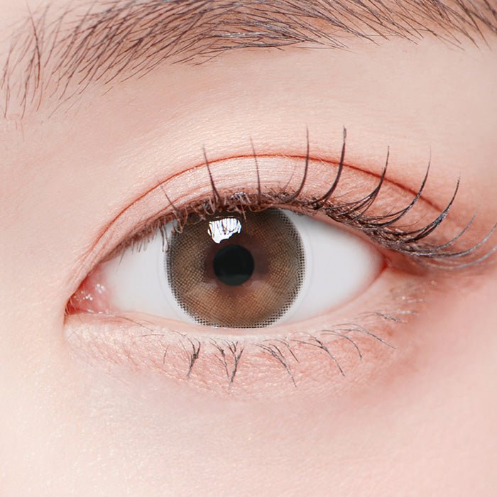 LensTown MIOEYE Brown (2p)