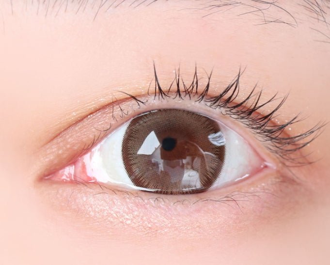 LensTown Scotch 3color Brown colored contact lens, 14.0mm graphic diameter, Monthly wear