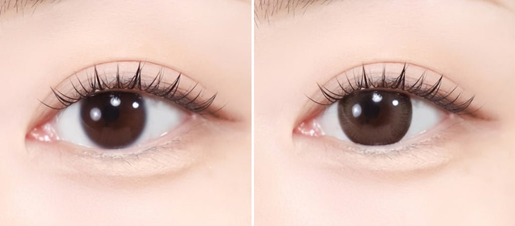 LensTown Scotch 3color Brown colored contact lens, 14.0mm graphic diameter, Monthly wear