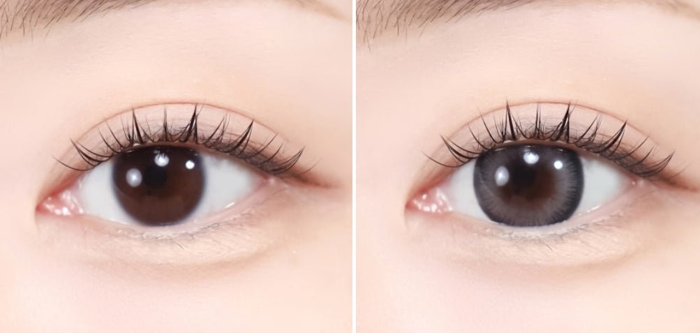 LensTown Scotch 3color Gray colored contact lens, 14.0mm graphic diameter, Monthly wear