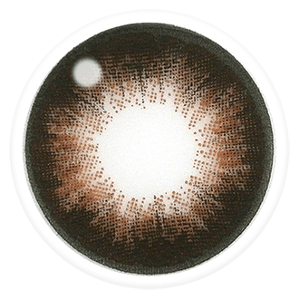 LensTown TalkTalk Sugar Brown
