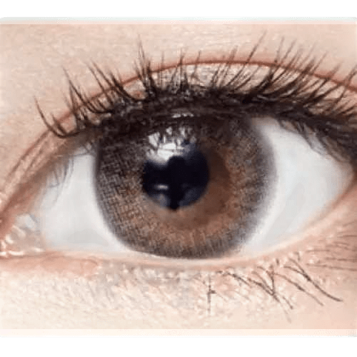 LensVery Anello No.1 Gray — single-eye close-up showing the contact lens appearance