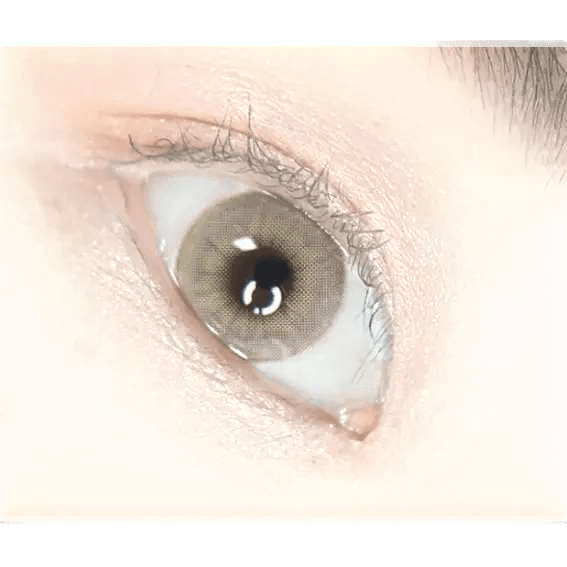 LensVery Buttercup 1Day Beige (10p) — image 6