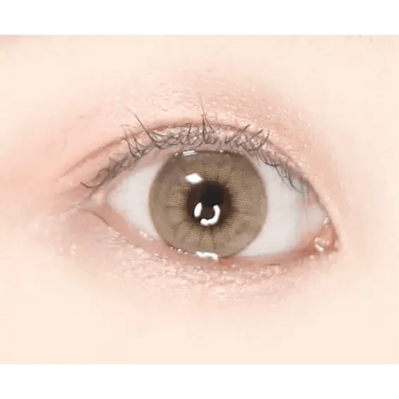 LensVery Buttercup 1Day Beige (10p) — image 5