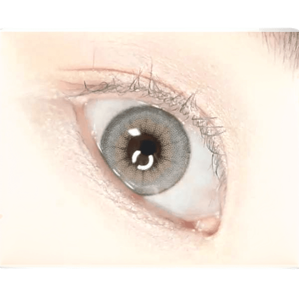 LensVery Buttercup 1Day Gray (10p) — image 6