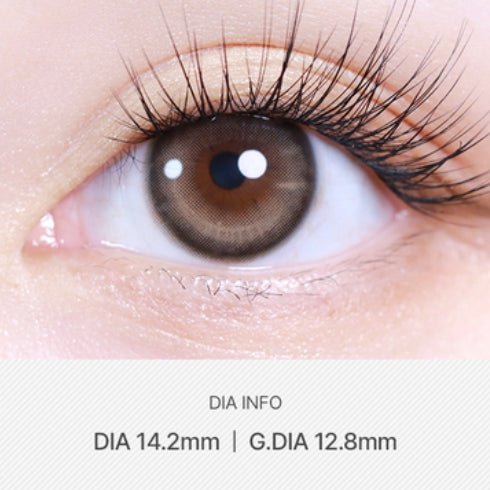 LensVery Butterflos Beige Brown colored contact lens, 12.8mm graphic diameter, Monthly wear