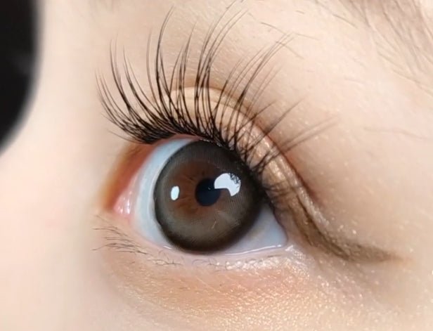 LensVery Butterflos Gray colored contact lens, 12.8mm graphic diameter, Monthly wear