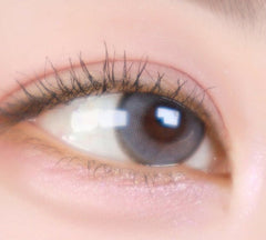 LensVery Day Ring Gray (10p)