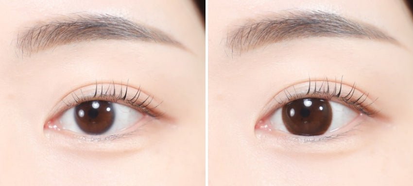 LensVery Just Mega Choco colored contact lens, 14.2mm graphic diameter, Monthly wear