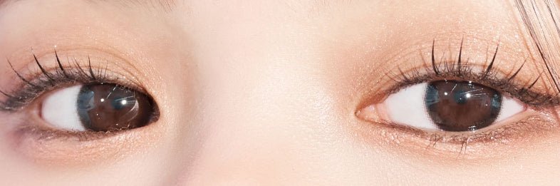 LensVery Just Mega Choco colored contact lens, 14.2mm graphic diameter, Monthly wear